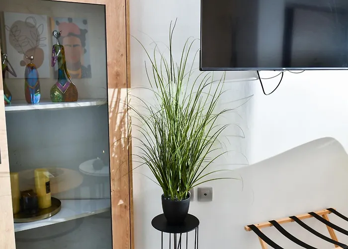 Comfy Dots 1 Apartment